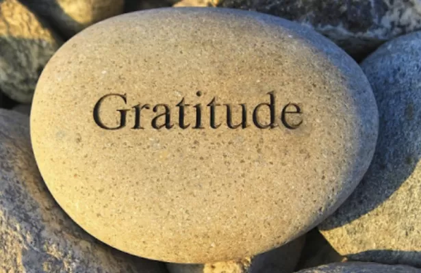 Gratitude