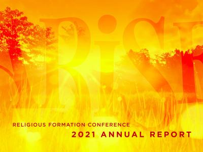 Cover image of ARISE - RFC 2021 Annual Report